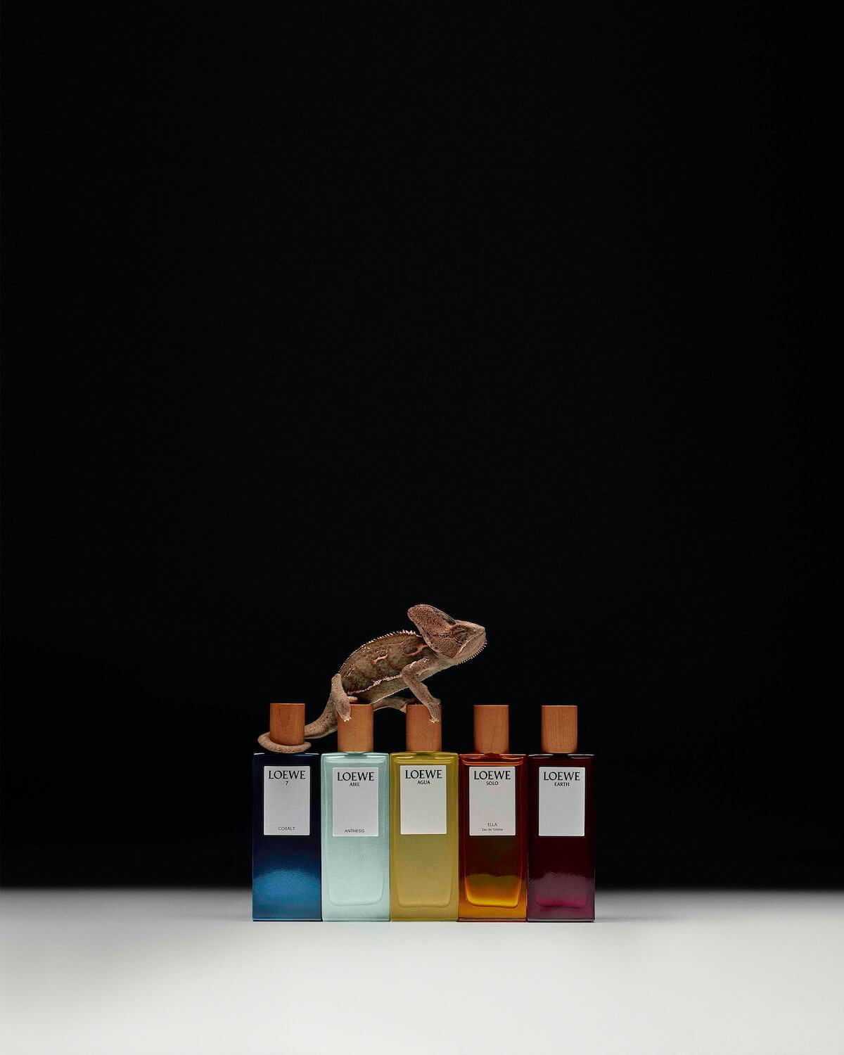 Loewe Perfumes launches its new Botanical Rainbow campaign and the new  LOEWE Earth - Fucking Young!
