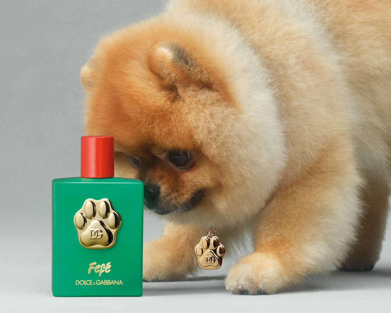 Dolce & Gabbana Release Fefe, The Fragrance Mist For Your Furry 